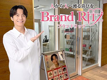main_ritz.jpg